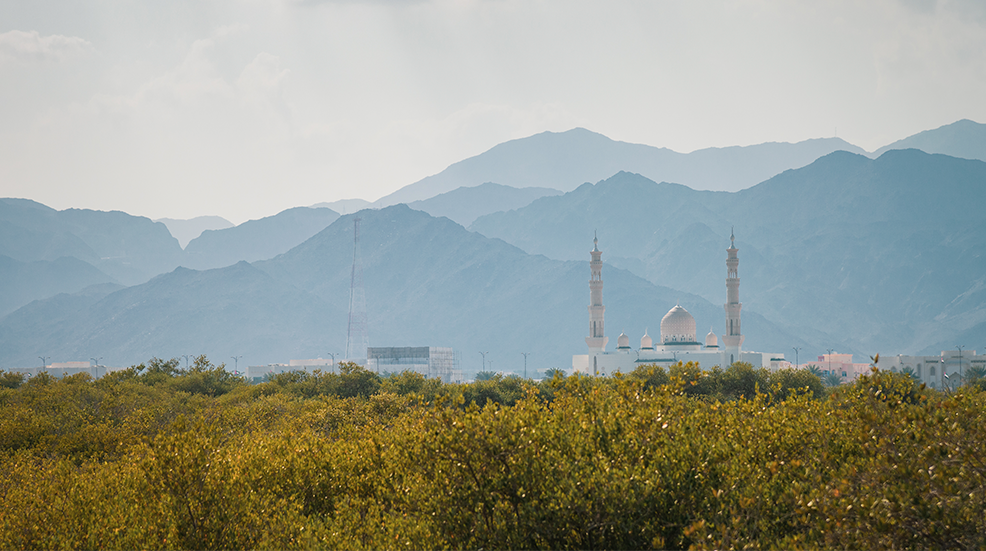 Mosque near the Al Hajar mountains, Fujairah Emirate, United Arab Emirates 
